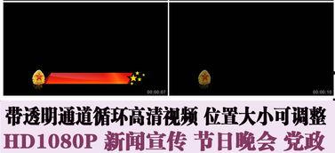 新闻爆料文字素材视频大全,精彩瞬间回顾