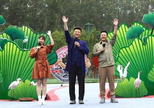 安阳爆料新闻最新消息视频,视频揭露惊人真相，事件引发社会关注  第3张